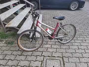 Bici da ragazza