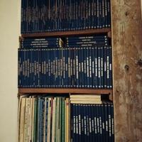 Collezione Fumetti TEX (circa 100 numeri)