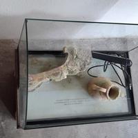 Aquario  mis alt 33prof 29 lun 49 