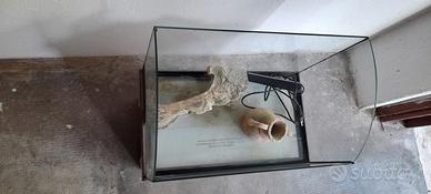 Aquario  mis alt 33prof 29 lun 49 