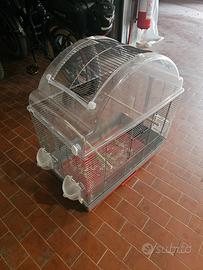 gabbia uccelli  grande