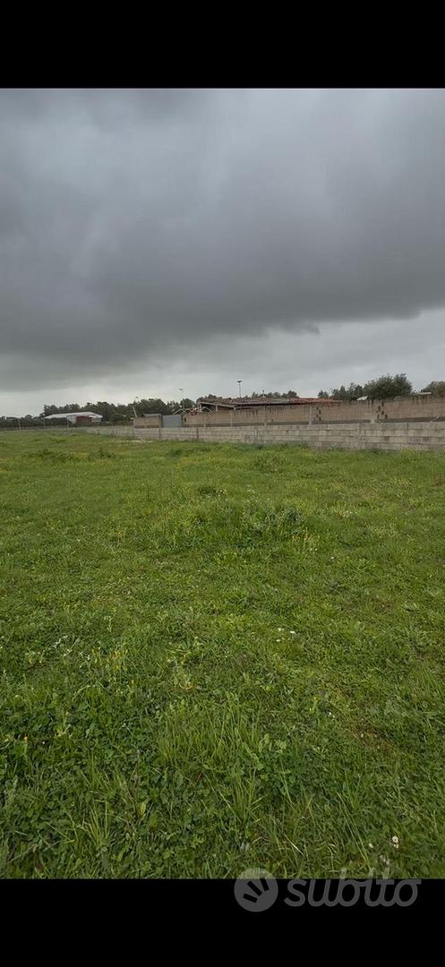 Terreno agricolo - Altro