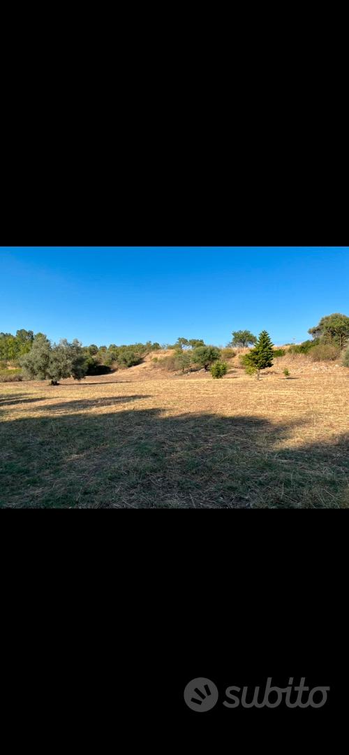 Terreno - Vista 2