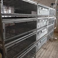 Gabbia riscaldata per pulcini