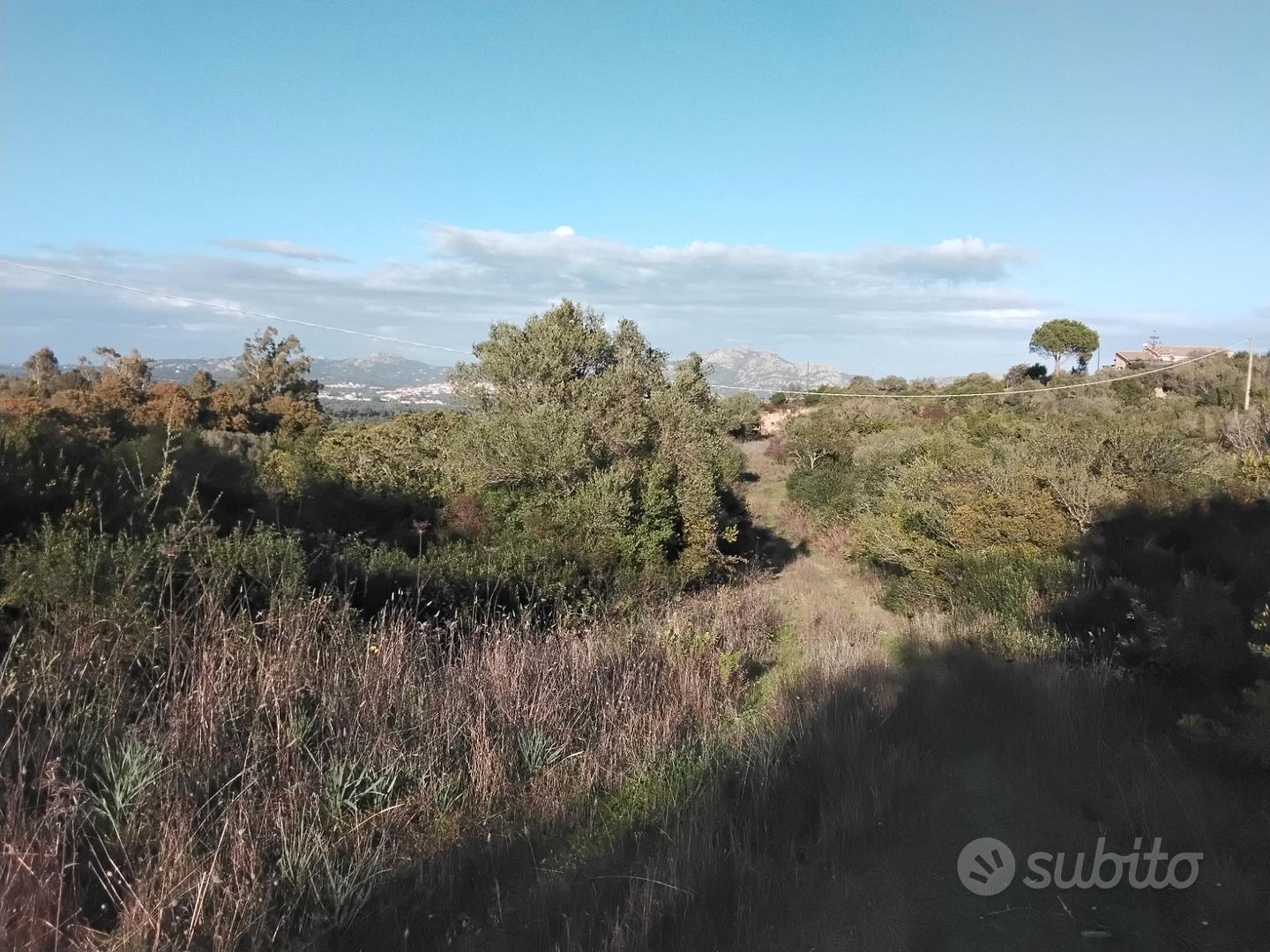 Terreno in Arzachena ( Olbia tempio) - Vista 3
