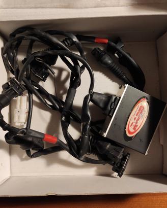 Rapid bike DIM sport Ducati S4 S4R