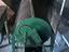 Immagine 2
