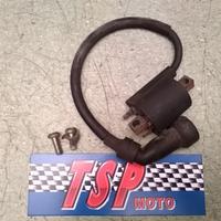 BOBINA ACCENSIONE IGNITI YAMAHA YBR -YZF 125 05-13