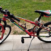 Bicicletta da ragazzo 