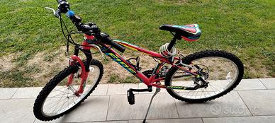 Bicicletta da ragazzo 