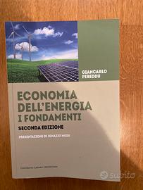 Economia dell’energia