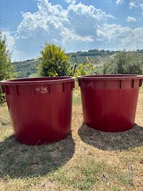 Tini in plastica alimentare per vendemmia - n.2 pe