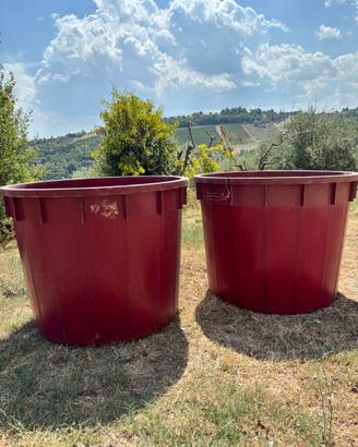 Tini in plastica alimentare per vendemmia - n.2 pe