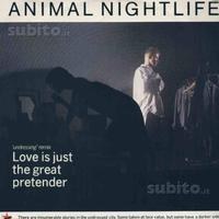 Animal nightlife - love is just the great .12''
