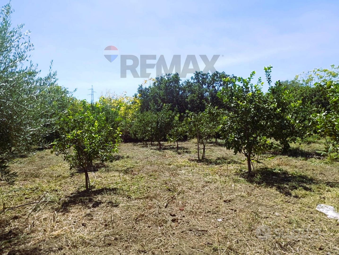 Terreno - Santa Venerina - Altro
