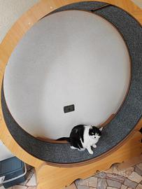Rota per gatti Tapis Roulant Gatti Gioco Gatti
