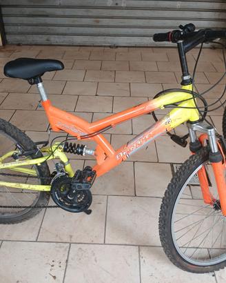 Bicicletta