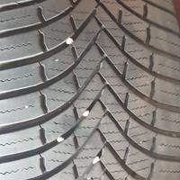 gomma multistagione firestone