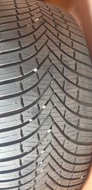 gomma multistagione firestone