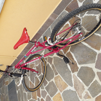 MTB Legnano 21 Velocità, Taglia M, ruote del 26"