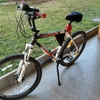 MTB uomo cruiser/motard 26 pollici