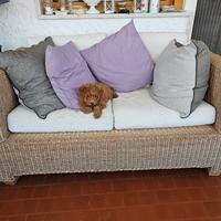 divano da esterno in bambù 