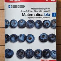 Matematica.blu 1 Algebra, Geometria, Statistica.