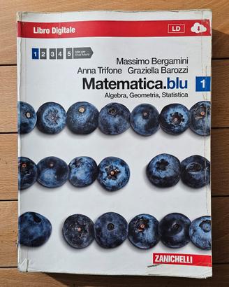 Matematica.blu 1 Algebra, Geometria, Statistica.