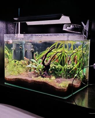 acquario dolce completo 