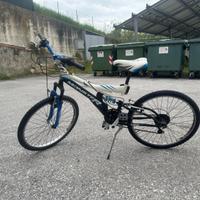 Bicicletta ragazzo bianca e blu