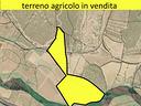 terreno-agricolo-irriguo-a-sennori
