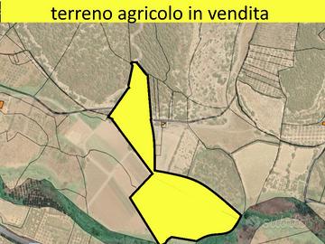 Terreno agricolo irriguo a Sennori