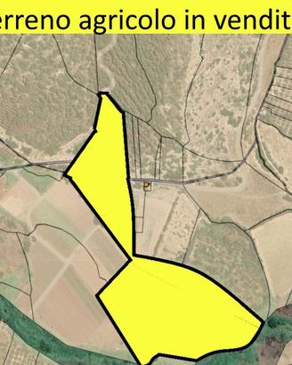 Terreno agricolo irriguo a Sennori