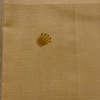 Rolex Fazzoletto Per corredo Day-Date Nuovo