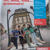 Libro " Un, deux, trois ...grammaire!"