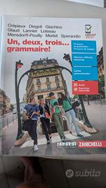 Libro " Un, deux, trois ...grammaire!"