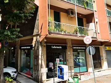 Negozio Modena [AV2025-152VCG]