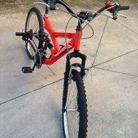 Bici da 24