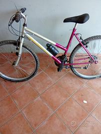 Bicicletta mountan bike