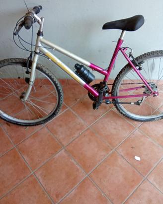Bicicletta mountan bike