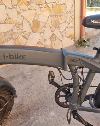 bici eletrica orso