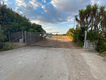 2 terreni per attività zona D2 1800 e 1200 mq