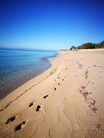 Campomarino villa 6 posti a 400 m dal mare