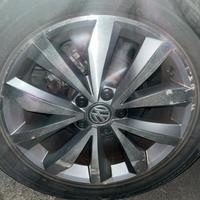 circhi in lega come nuovi