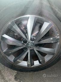 circhi in lega come nuovi