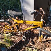 Bici Testi TX