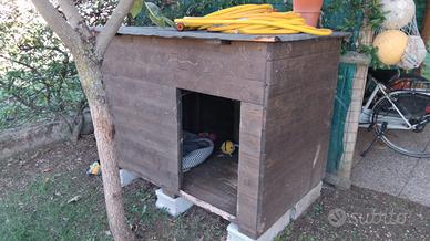 cuccia per cani