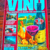 Rivista il mio vino Lambrusco 