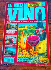 Rivista il mio vino Lambrusco 