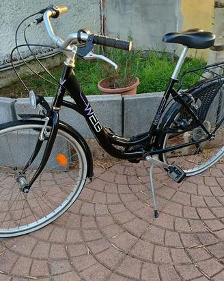 Bicicletta Citybike